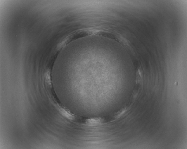 X0000062910238200601131434