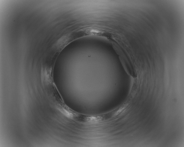 X0000062910239200601131434