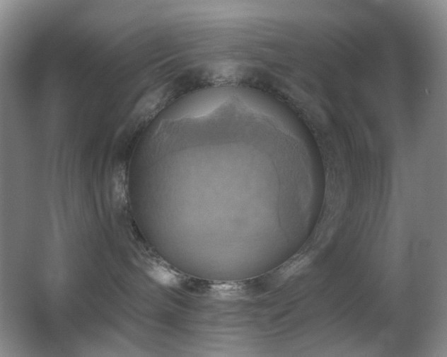 X0000062910240200601131434