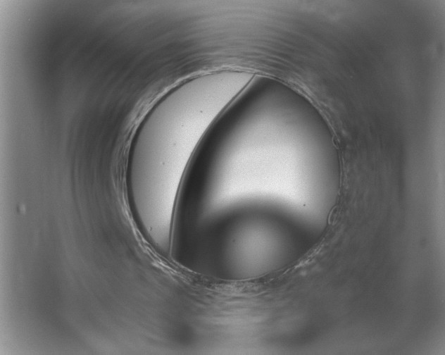 X0000062910241200601131433