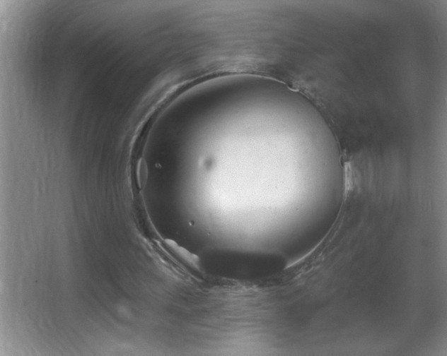 X0000062910243200601131433