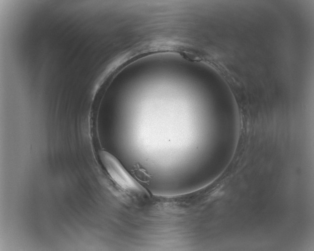 X0000062910244200601131433