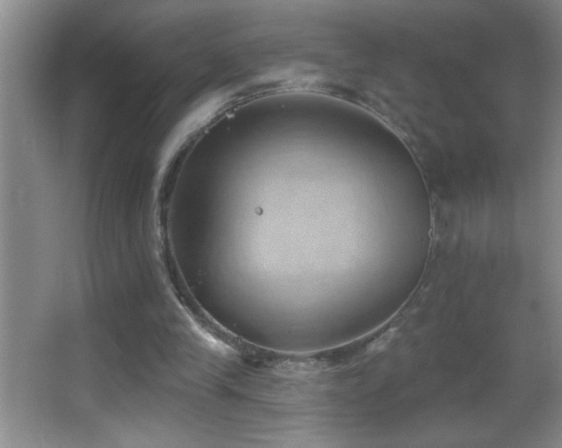 X0000062910245200601131433