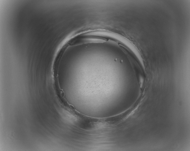 X0000062910246200601131433