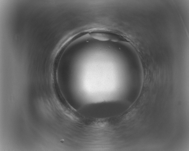 X0000062910247200601131433