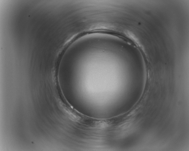 X0000062910249200601131433