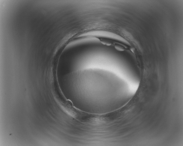 X0000062910250200601131433