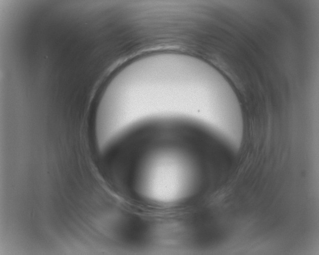 X0000062910252200601131433