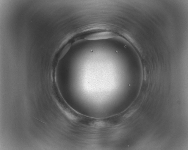 X0000062910253200601131433