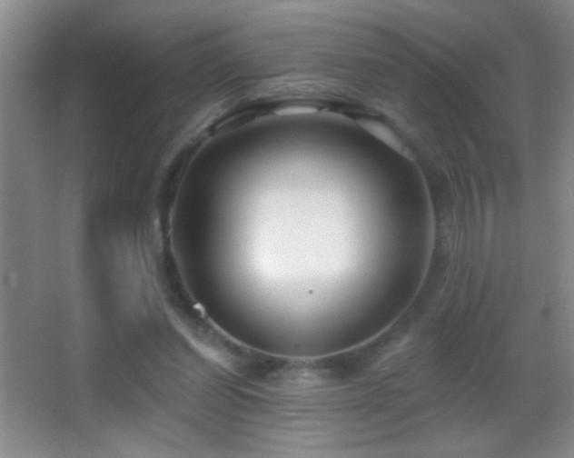 X0000062910254200601131433