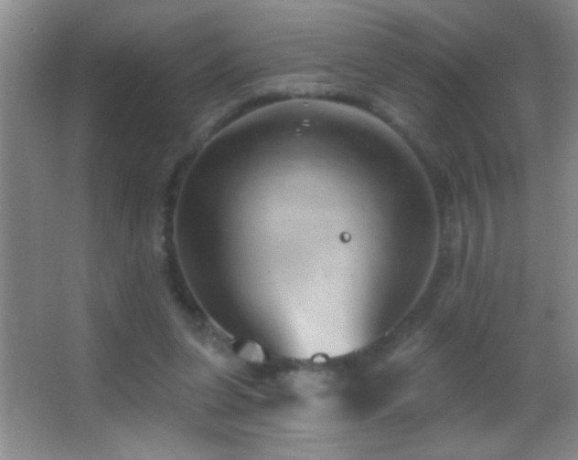 X0000062910255200601131433