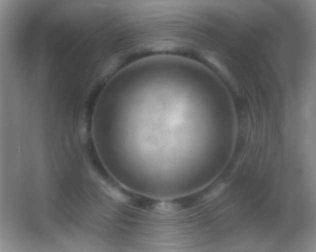 X0000062910261200601131434