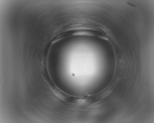 X0000062910265200601131434