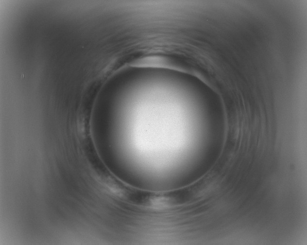 X0000062910268200601131434