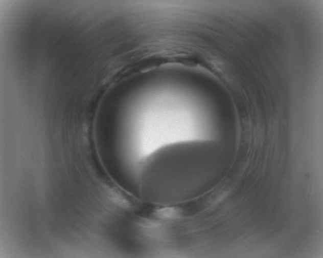 X0000062910269200601131434