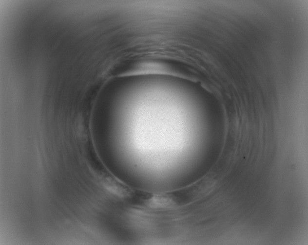 X0000062910270200601131434