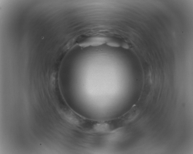 X0000062910271200601131434