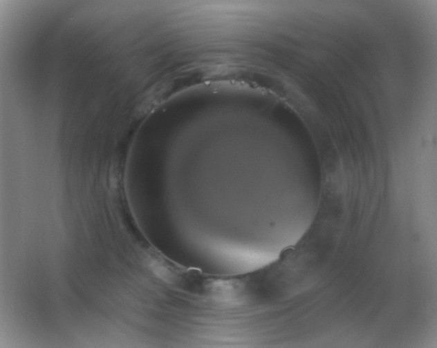 X0000062910277200601131434