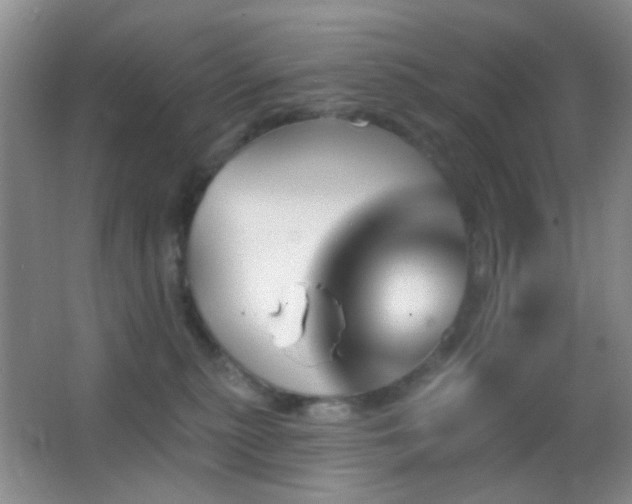 X0000062910279200601131434