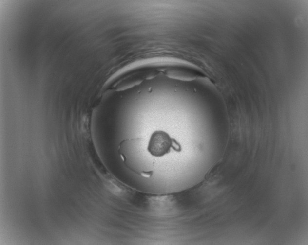 X0000062910281200601131434