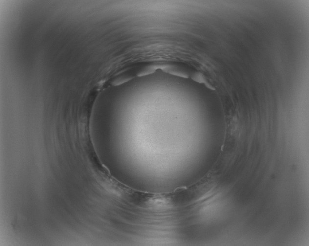 X0000062910283200601131434