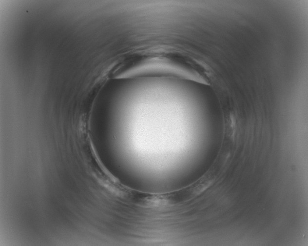 X0000062910284200601131434