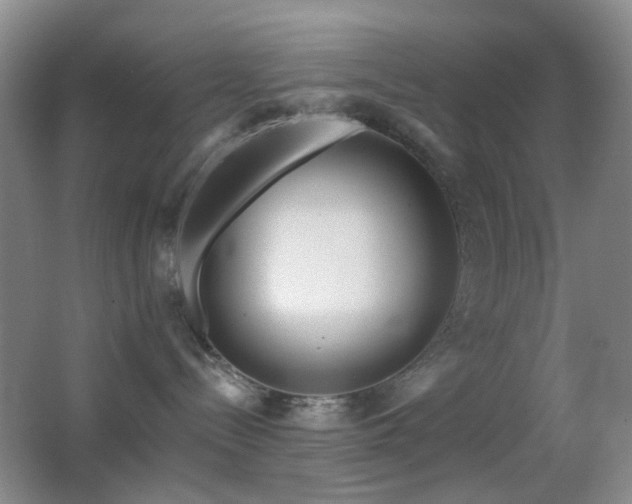 X0000062910288200601131434