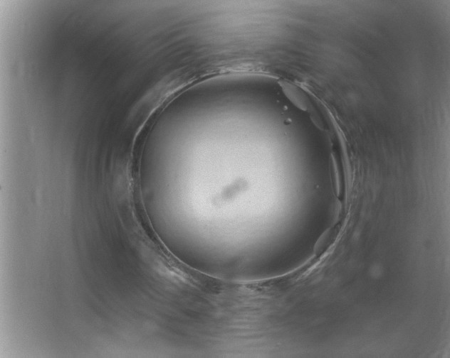 X0000062910290200601131433