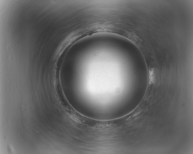 X0000062910291200601131433