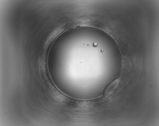 X0000062910293200601131433