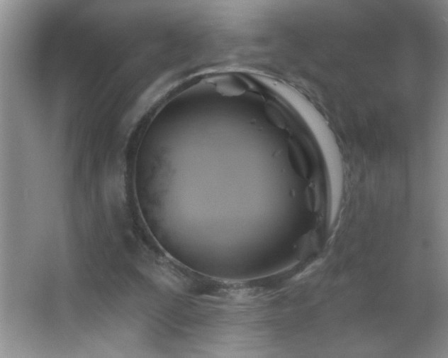 X0000062910295200601131433