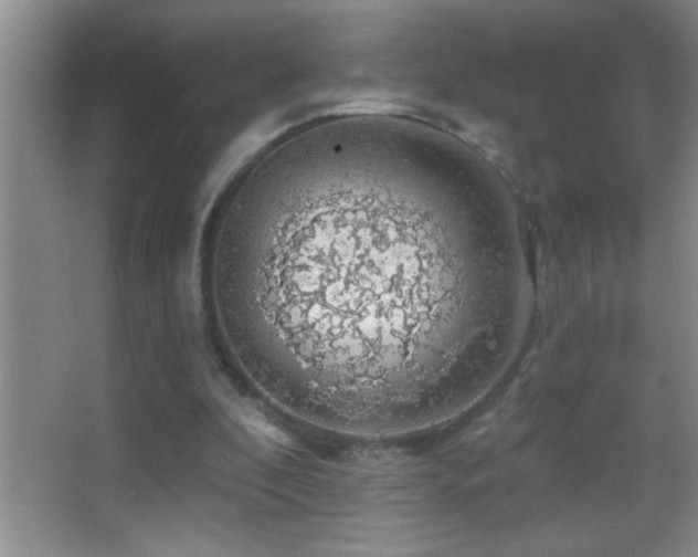 X0000062910296200601131433