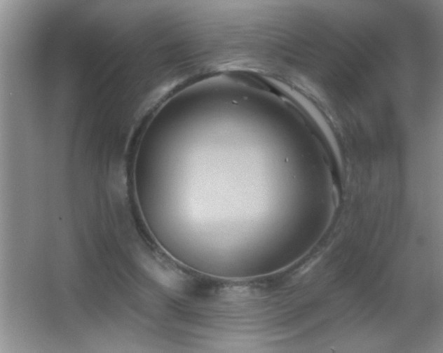 X0000062910298200601131433