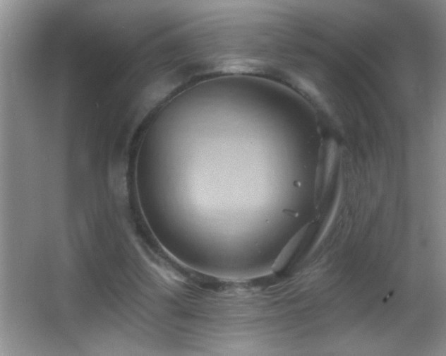 X0000062910299200601131433