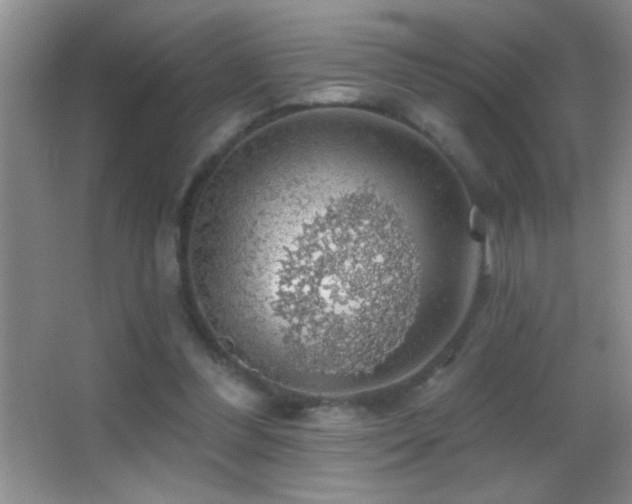 X0000062910300200601131433