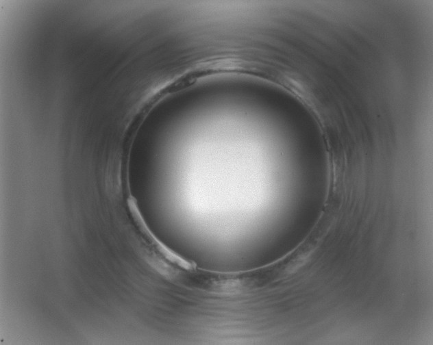 X0000062910301200601131433