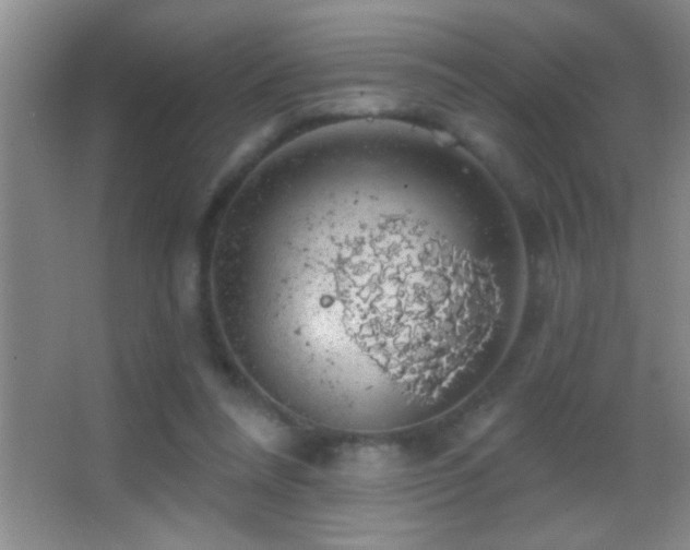 X0000062910304200601131433