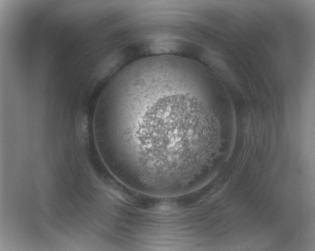 X0000062910308200601131433