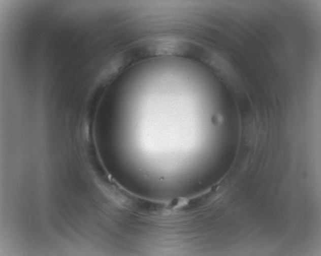 X0000062910310200601131433