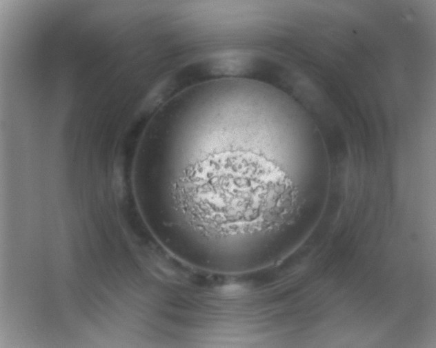 X0000062910312200601131433