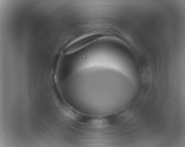 X0000062910314200601131433