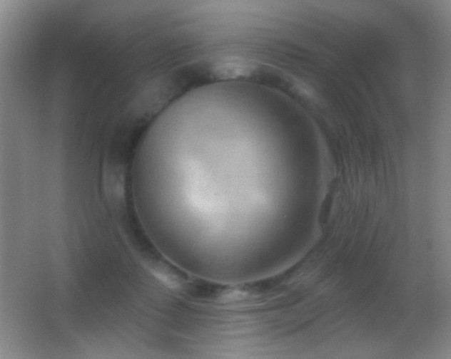 X0000062910315200601131433