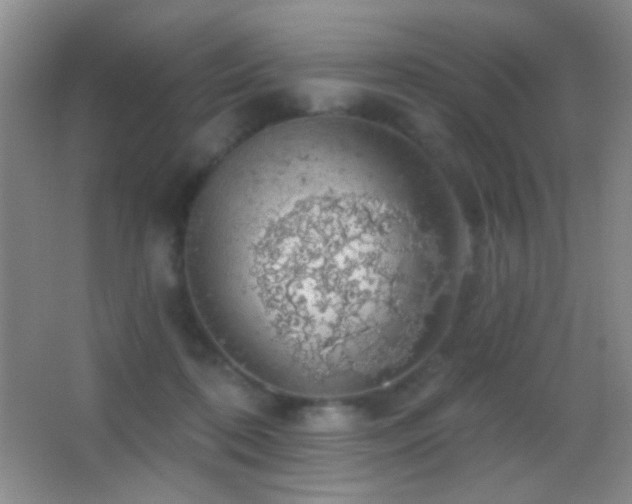 X0000062910316200601131433