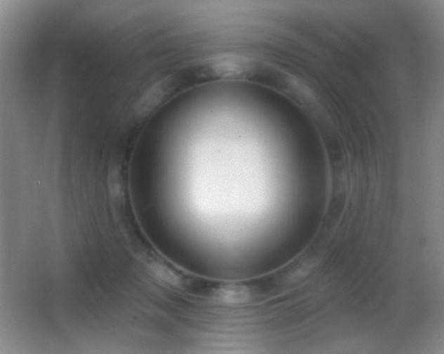 X0000062910317200601131433