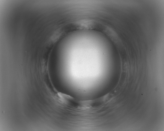 X0000062910318200601131433