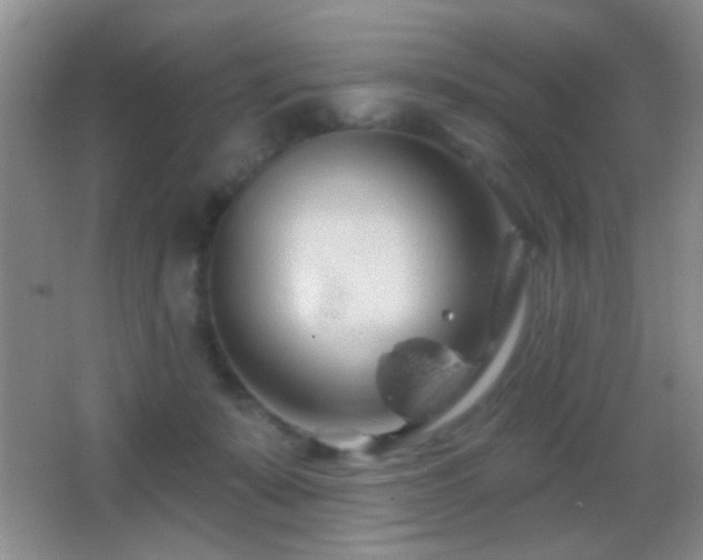 X0000062910319200601131433