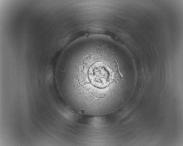 X0000062910320200601131433