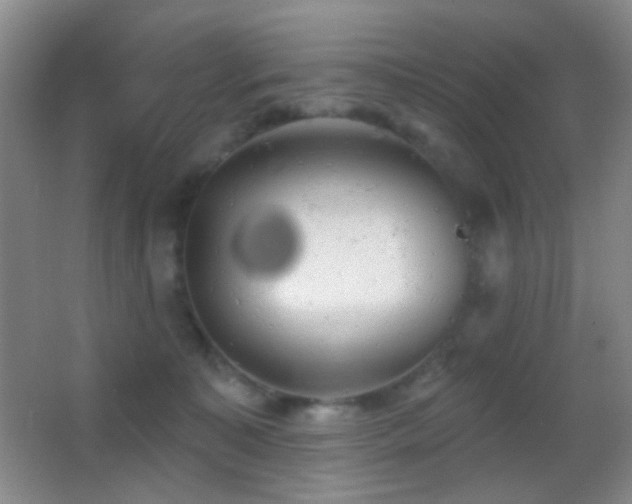 X0000062910323200601131433