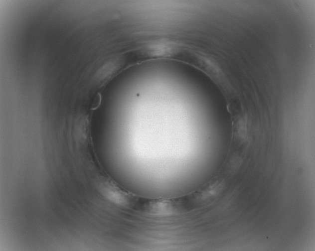 X0000062910325200601131433