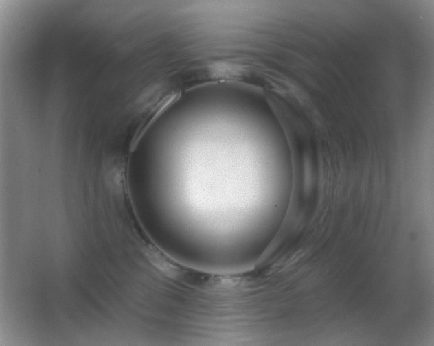 X0000062910329200601131433